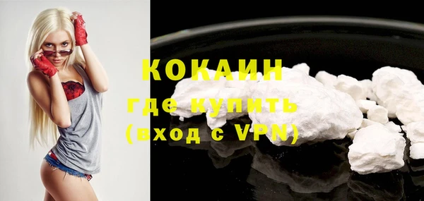 ПСИЛОЦИБИНОВЫЕ ГРИБЫ Абаза