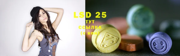 ПСИЛОЦИБИНОВЫЕ ГРИБЫ Абаза