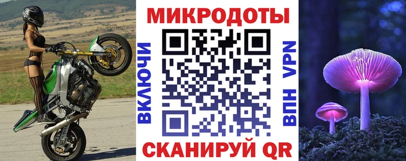 Псилоцибиновые грибы Psilocybine cubensis  Хабаровск 
